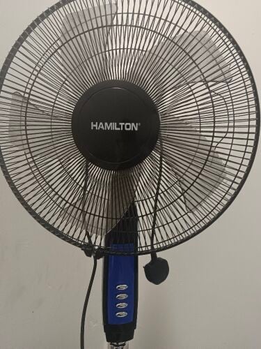 Fan
