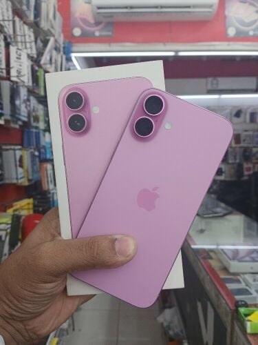 16 plus