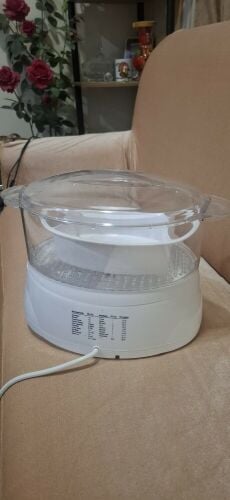 Electric Food Steamer