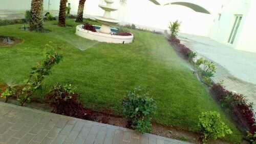 زراعه الحديقه وعمل الديكورات
