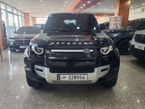 Defender s p300