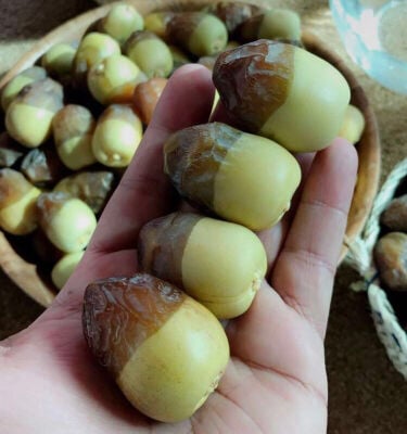 رطب الدوحة 