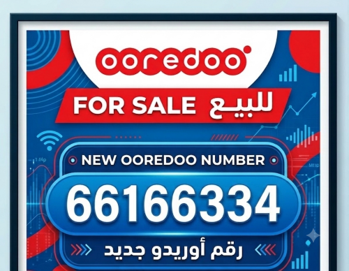 66166334