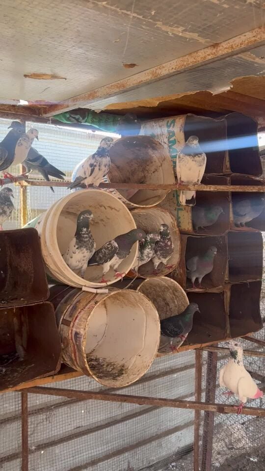  حمام باكستاني في توصيل