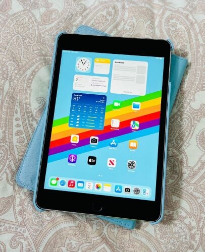 iPad Mini4 /128gb/WiFi /ios-15+