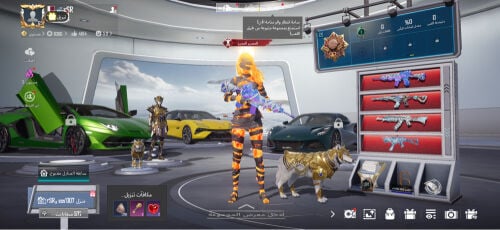 حساب ببجي للبيع