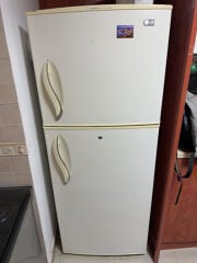 bug refrigerator 
