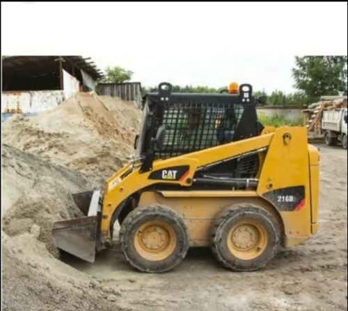 Bobcat