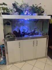 150cm aquarium with sump filter