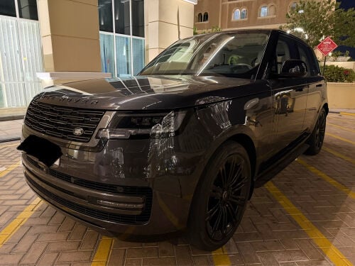 اتش اس اى 2024