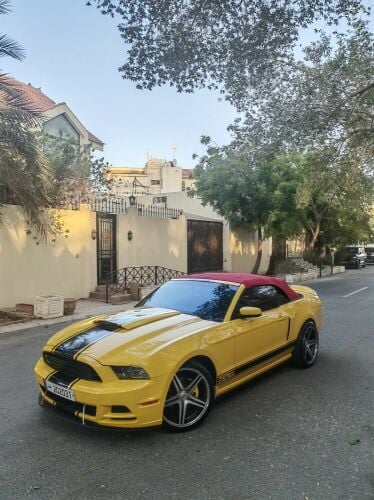 mustang 2013