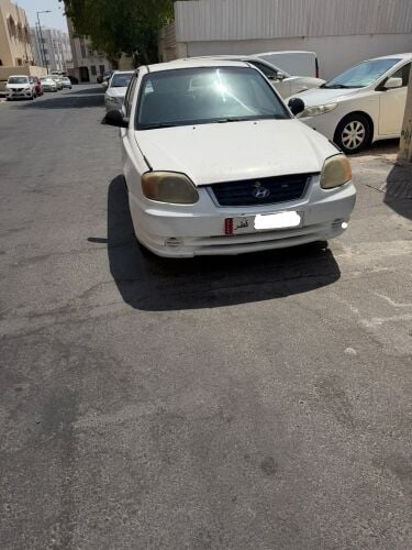 اكسنت فيرنا