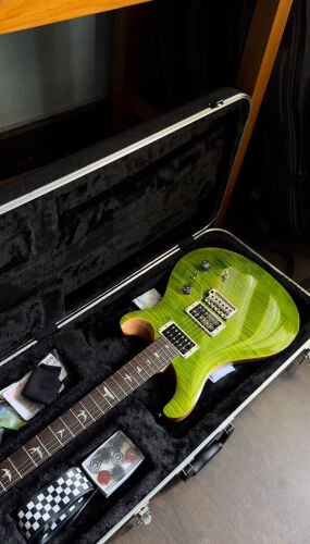 PRS SE Custom 24 – Eriza Verde 