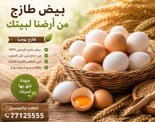 Fresh free-range eggs daily