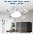 Fan Light: 2-in-1