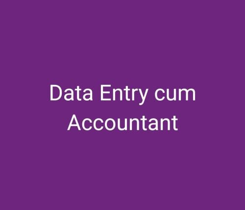 Data Entry cum Accountant Wanted