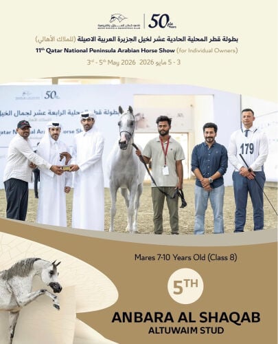 مدرب خيل عربيه و عارض 