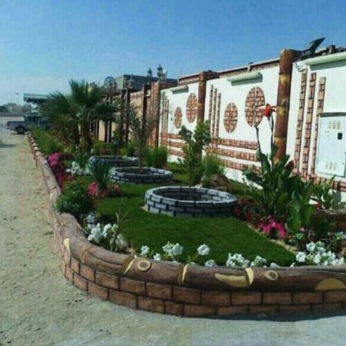 زراع