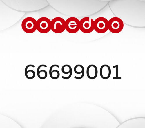 66699001