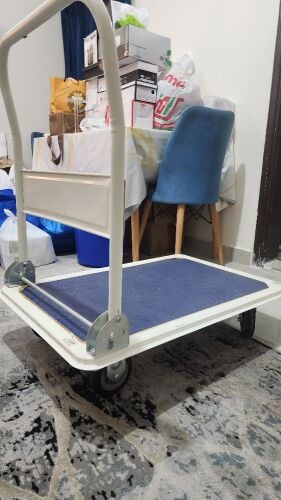cargo trolley (or platform/flatbed)