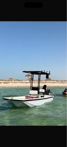 طراد بروق