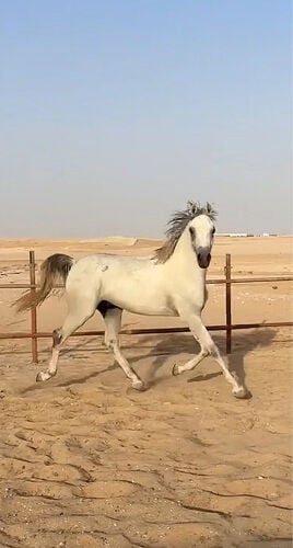 طويق 