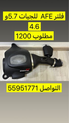 فلتر ريس