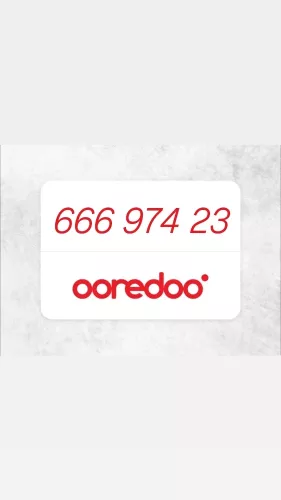 666 974 23 rare number