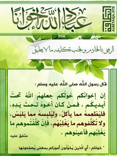 أبحث عن الوظيفة المرافق للشيوخ