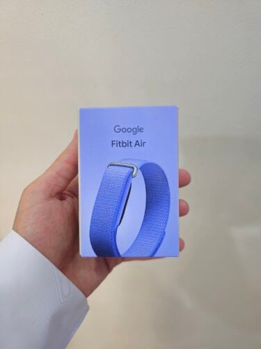 Google fitbit air