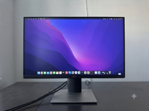 Dell P2219H Monitor  Excellent