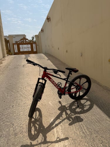 10-12 yr old bicycle