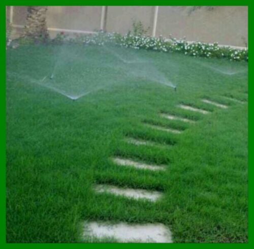 سوف تصل المياه لكافة الزراعه