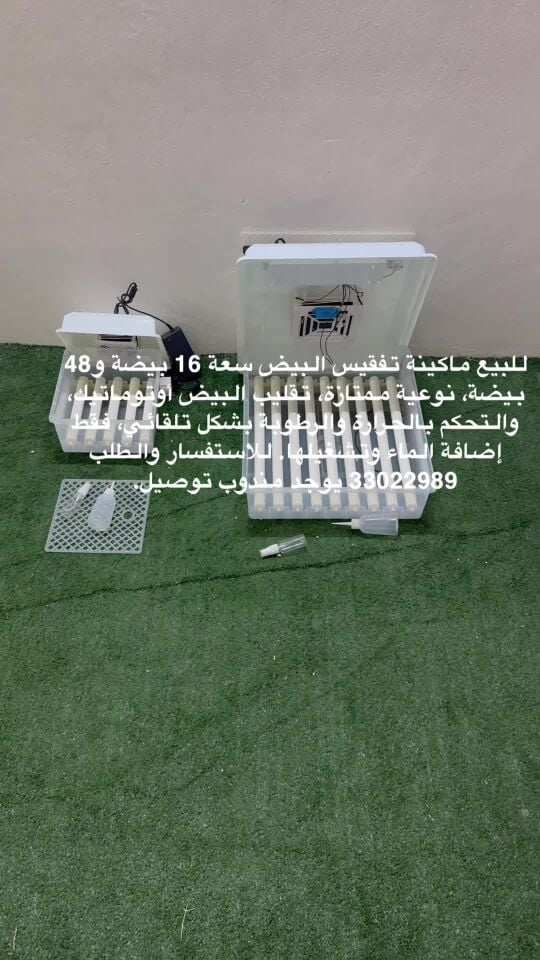 Automatic Egg Incubator