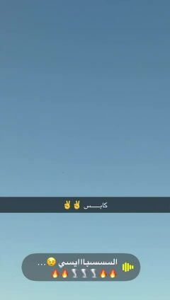 شاهين وحش