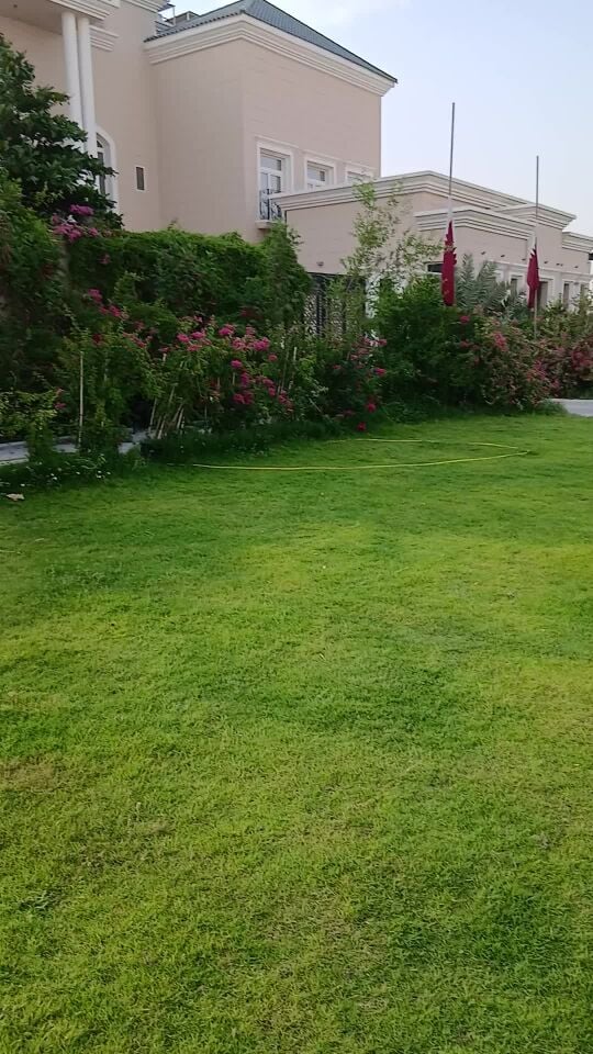 زراعة الملاعب بالعشب الاخضر