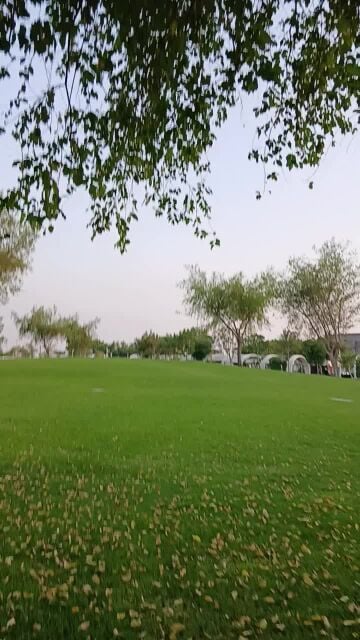 صيانه شهريه للحديقة