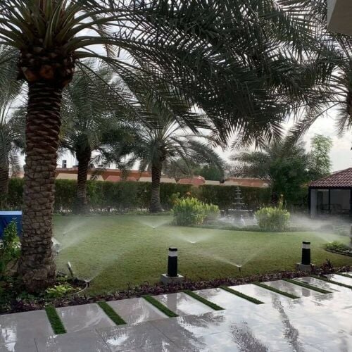 شبكات الري الحديث والزراعة