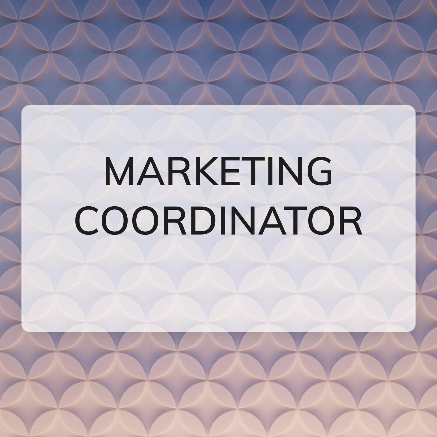 marketing coordinator 