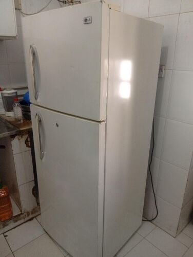 LG family-size refrigerator in exce