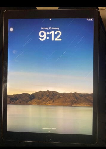 ipad pro 12.9 2nd gen 256