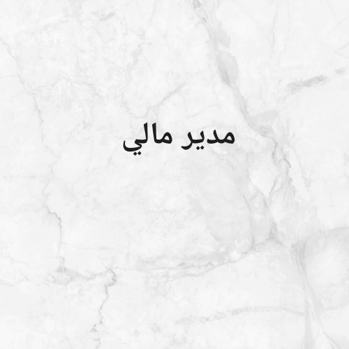 مطلوب مدير مالي