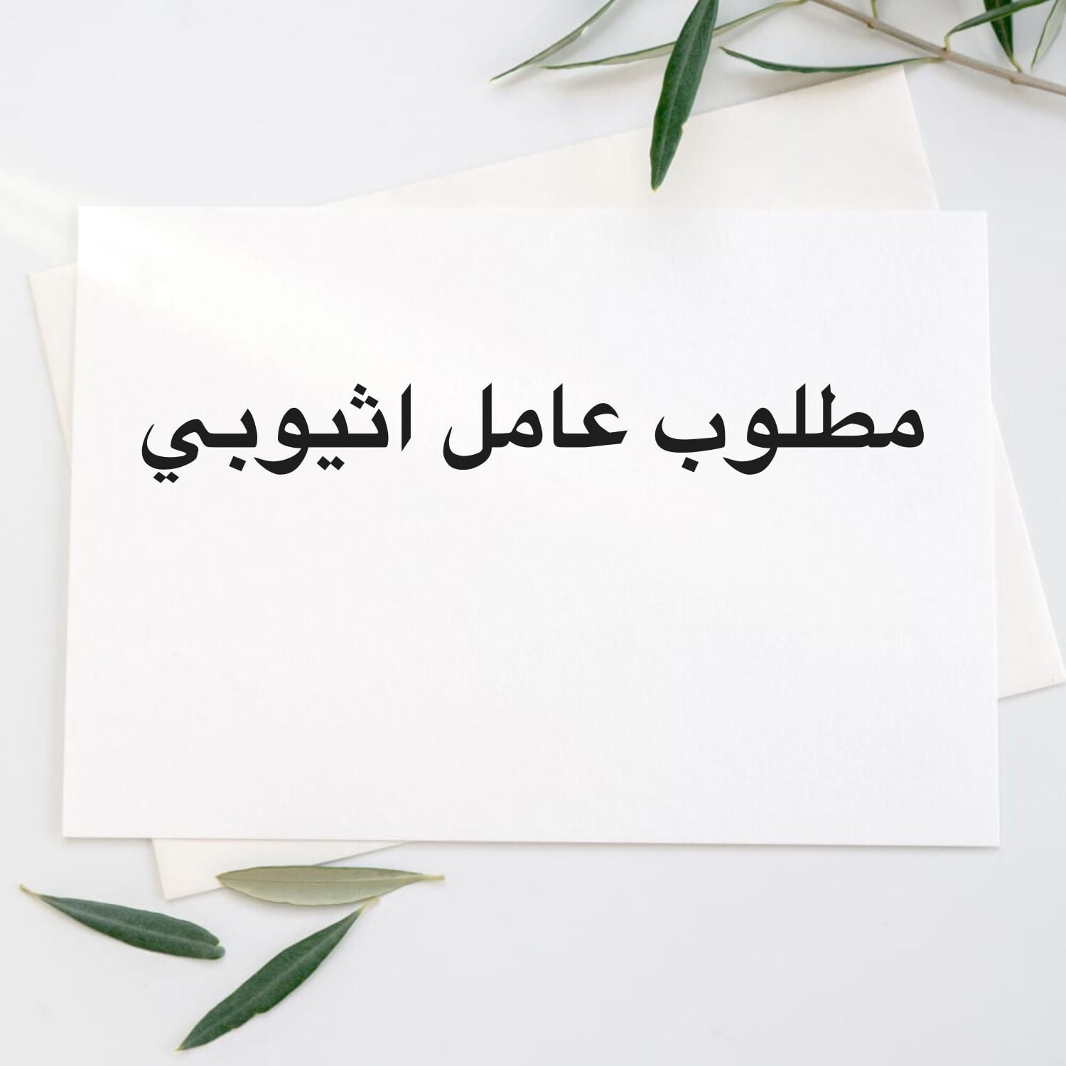 مطلوب موظف أثيوبي للمجلس ورحلات