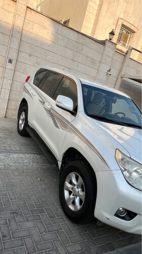 برادو