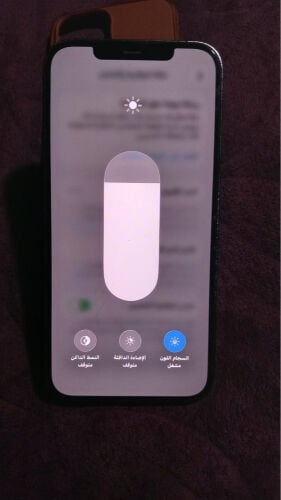 محمد 