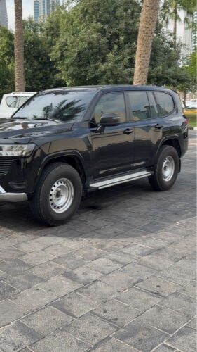 شنابر ٦ بلوط