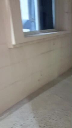 for rent without comation