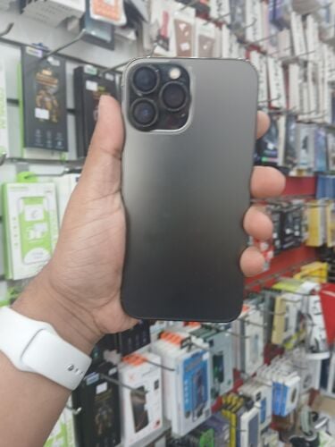 13 Pro Max