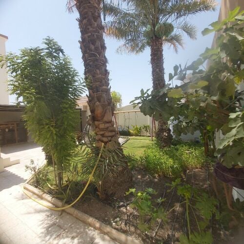 للايجار فيلا فى المشاف