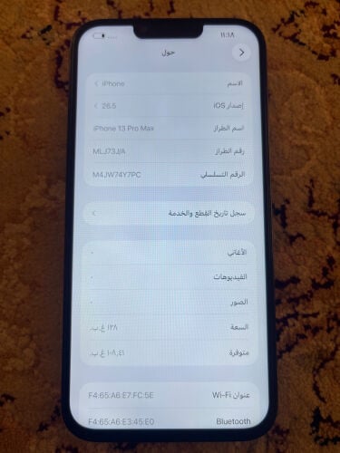   iPhone 13 Pro Max